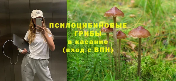 PSILOCYBIN Бугульма